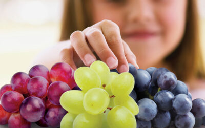 Pourquoi manger du raisin ?