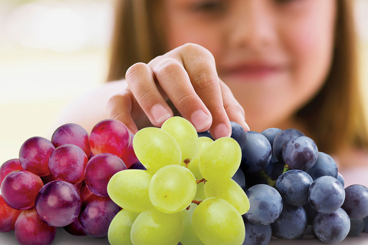 Pourquoi manger du raisin ? Hypnoteeth — free download