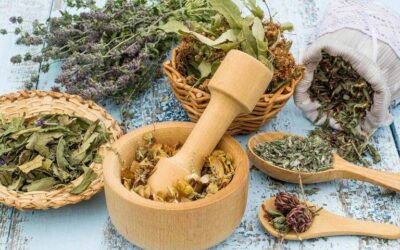 Comment adopter la phytothérapie ?