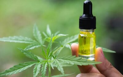 quels sont les avantages de l&rsquo;huile de CBD?
