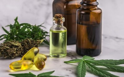 Quels produits CBD trouver sur Weedealer ?